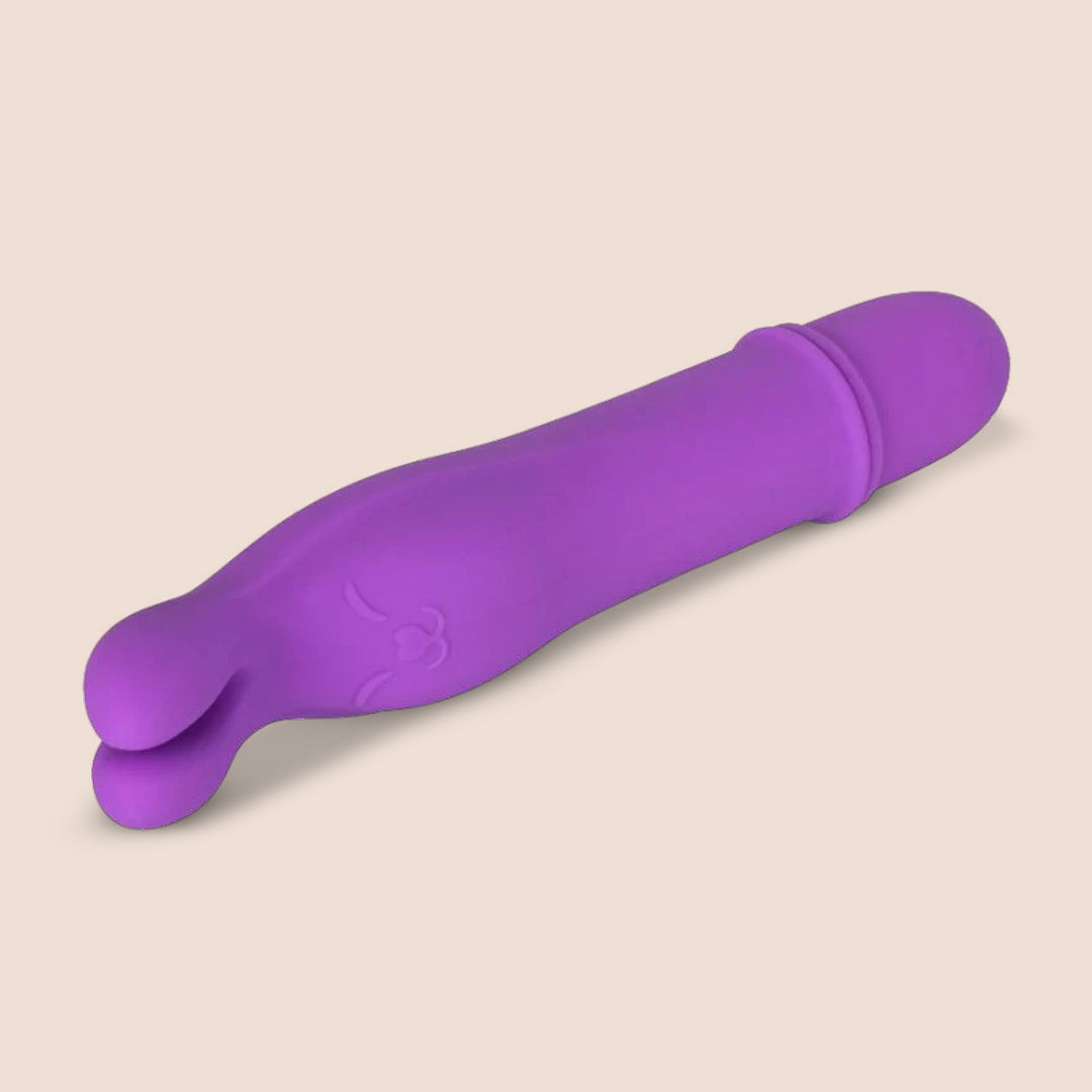 Shane's World® Bedtime Bunny | travel-sized vibrating bullet