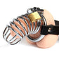 Fetish Fantasy Extreme Chastity Belt and Cock Cage by  Pipedream -  - 3