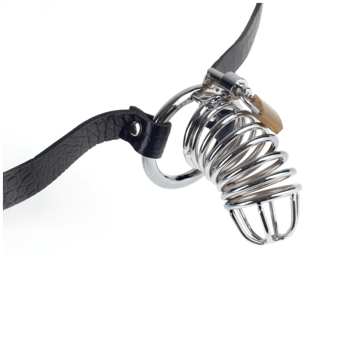 Fetish Fantasy Extreme Chastity Belt and Cock Cage