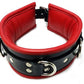 Rouge Garments Padded Leather Collar