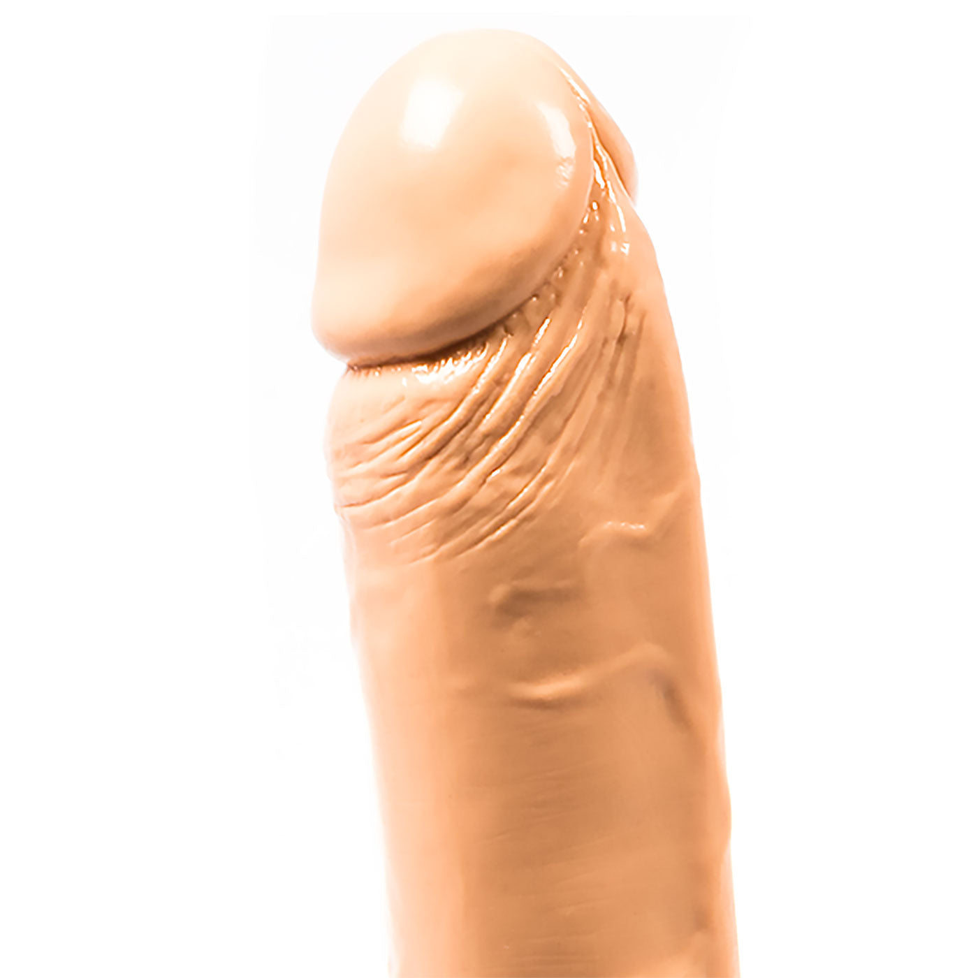 Dong W/Suction Cup Smooth 10 Inch Dildo